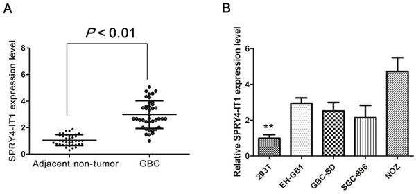 https://cdn.ncbi.nlm.nih.gov/pmc/blobs/cf6c/5356867/f1a9d954a57e/oncotarget-08-3104-g001.jpg