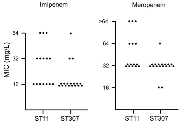 https://cdn.ncbi.nlm.nih.gov/pmc/blobs/cf78/8388746/19f84a5d2695/antibiotics-10-00911-g001.jpg