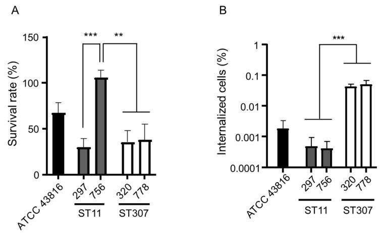 https://cdn.ncbi.nlm.nih.gov/pmc/blobs/cf78/8388746/3968336b10d6/antibiotics-10-00911-g002.jpg