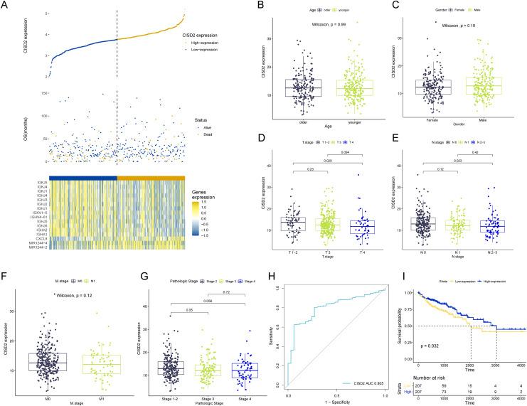 https://cdn.ncbi.nlm.nih.gov/pmc/blobs/cfc3/10249621/99beabd17eaa/peerj-11-15476-g005.jpg