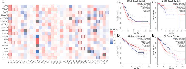 https://cdn.ncbi.nlm.nih.gov/pmc/blobs/cfc3/10249621/f86431004c1d/peerj-11-15476-g009.jpg