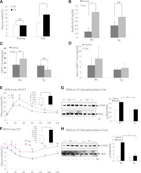 https://cdn.ncbi.nlm.nih.gov/pmc/blobs/cfd1/3581223/256eaa0954b2/789fig2.jpg