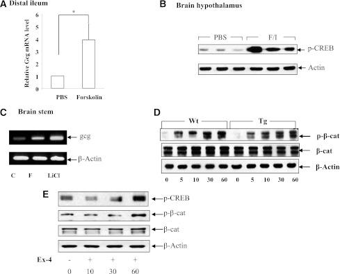 https://cdn.ncbi.nlm.nih.gov/pmc/blobs/cfd1/3581223/4e739cdcef95/789fig4.jpg