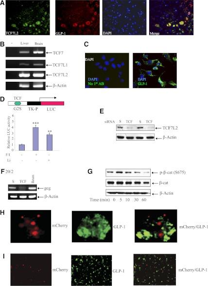 https://cdn.ncbi.nlm.nih.gov/pmc/blobs/cfd1/3581223/aefa6d5ce283/789fig3.jpg