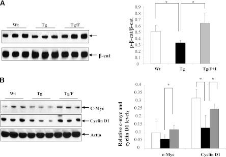 https://cdn.ncbi.nlm.nih.gov/pmc/blobs/cfd1/3581223/ecdb54c48346/789fig5.jpg