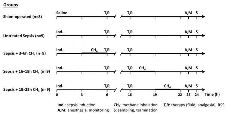 https://cdn.ncbi.nlm.nih.gov/pmc/blobs/cfd3/12291870/a85cec2ffffc/antioxidants-14-00814-g001.jpg