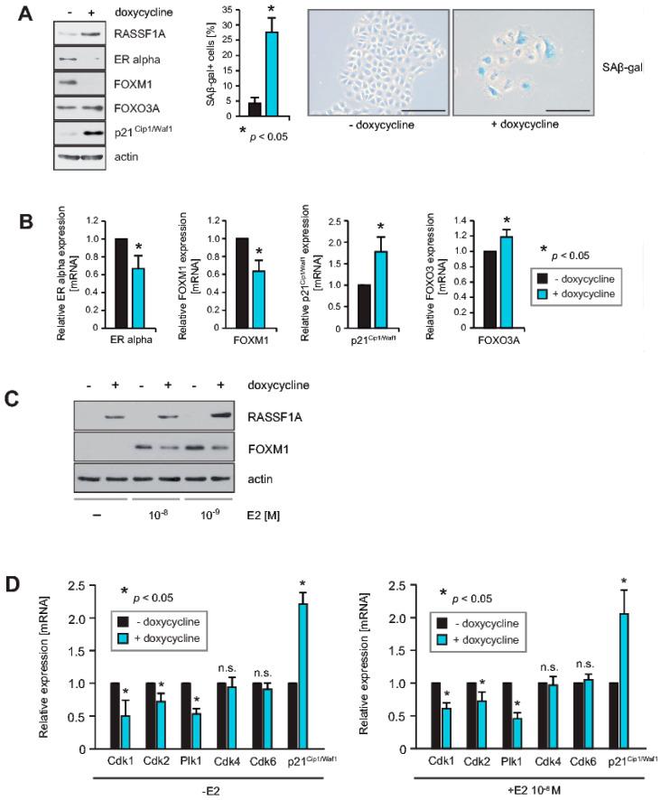 https://cdn.ncbi.nlm.nih.gov/pmc/blobs/cfd9/7566002/c826a081e104/cancers-12-02689-g001.jpg