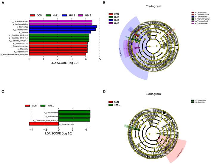 https://cdn.ncbi.nlm.nih.gov/pmc/blobs/cfd9/9442064/f1e3c2d850e3/fvets-09-971647-g0005.jpg