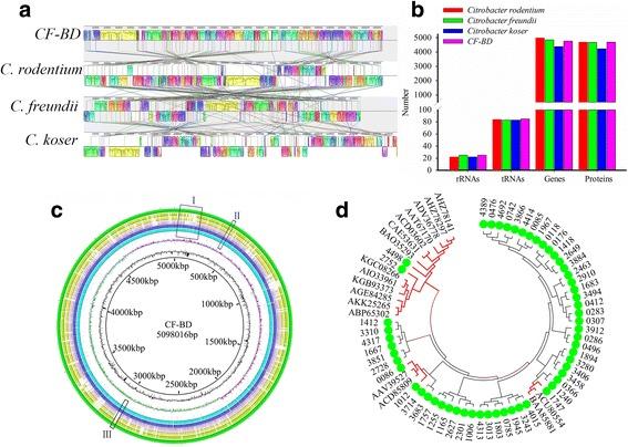 https://cdn.ncbi.nlm.nih.gov/pmc/blobs/cff5/5286733/1b4174dc5a9d/40168_2017_236_Fig5_HTML.jpg
