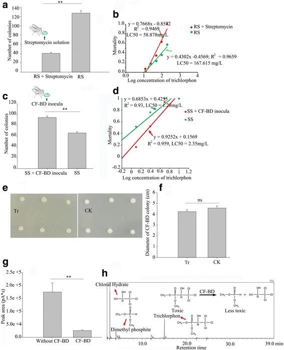https://cdn.ncbi.nlm.nih.gov/pmc/blobs/cff5/5286733/a295f0deeecb/40168_2017_236_Fig4_HTML.jpg