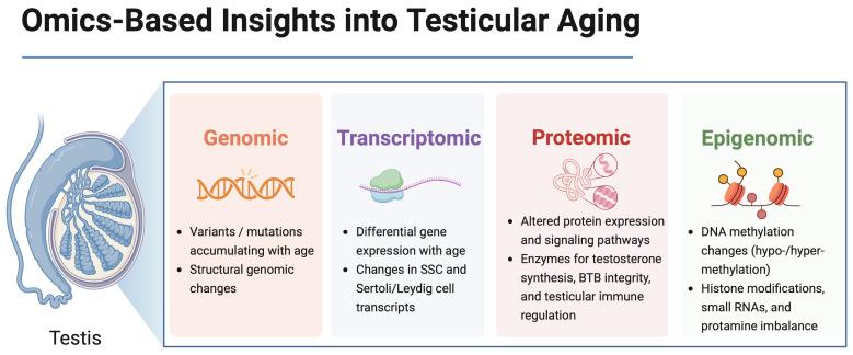 https://cdn.ncbi.nlm.nih.gov/pmc/blobs/cff7/12190642/16238241938f/cells-14-00899-g001.jpg