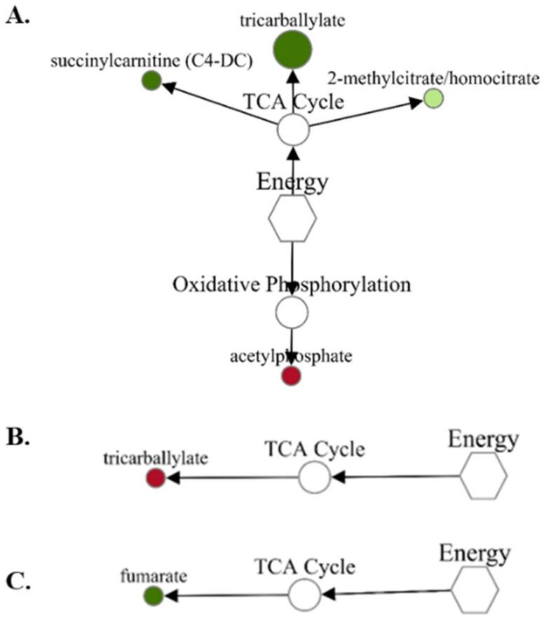 https://cdn.ncbi.nlm.nih.gov/pmc/blobs/cffd/9416667/21841a9cfb50/metabolites-12-00696-g003.jpg