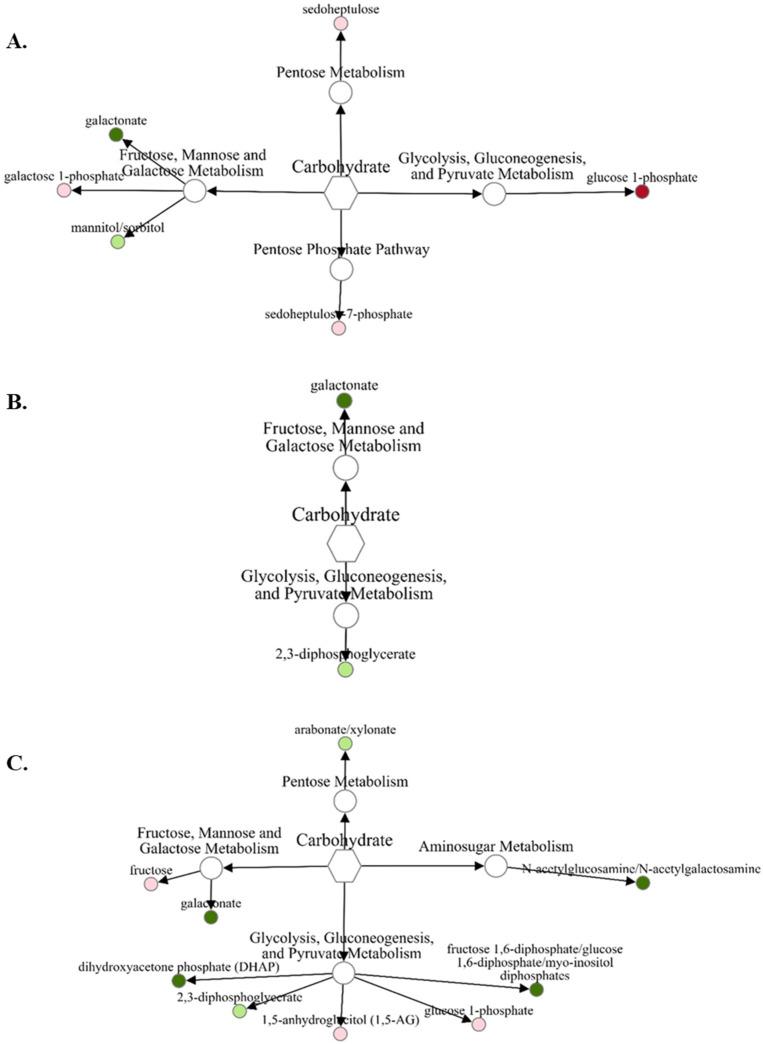 https://cdn.ncbi.nlm.nih.gov/pmc/blobs/cffd/9416667/c7f95809c70e/metabolites-12-00696-g002.jpg