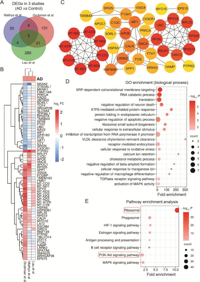 https://cdn.ncbi.nlm.nih.gov/pmc/blobs/d005/8487122/f27dc35c2da3/12883_2021_2407_Fig1_HTML.jpg