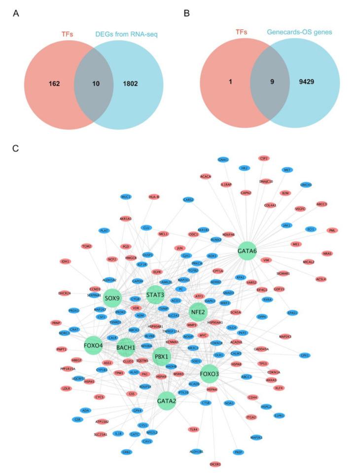 https://cdn.ncbi.nlm.nih.gov/pmc/blobs/d01a/9565894/575a4176f6ac/nanomaterials-12-03507-g004.jpg