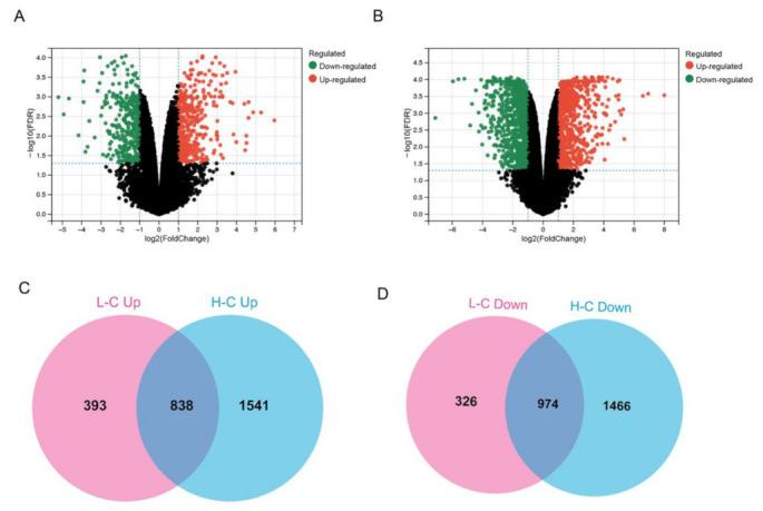 https://cdn.ncbi.nlm.nih.gov/pmc/blobs/d01a/9565894/5c04ec86f254/nanomaterials-12-03507-g002.jpg