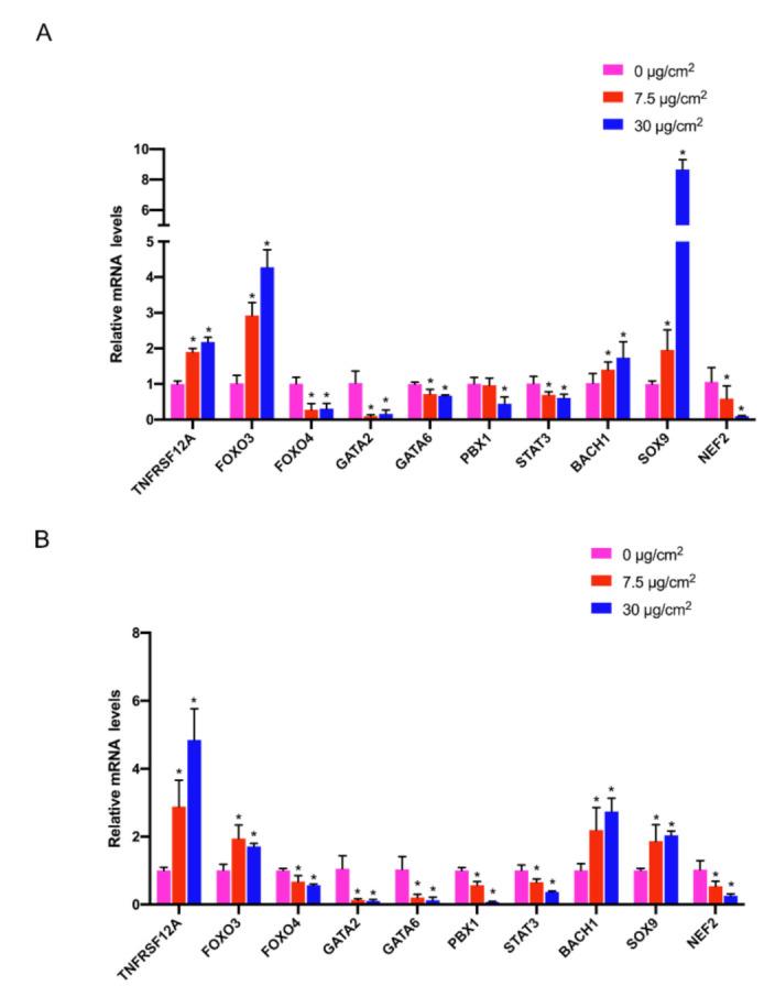 https://cdn.ncbi.nlm.nih.gov/pmc/blobs/d01a/9565894/d54f9b716866/nanomaterials-12-03507-g006.jpg
