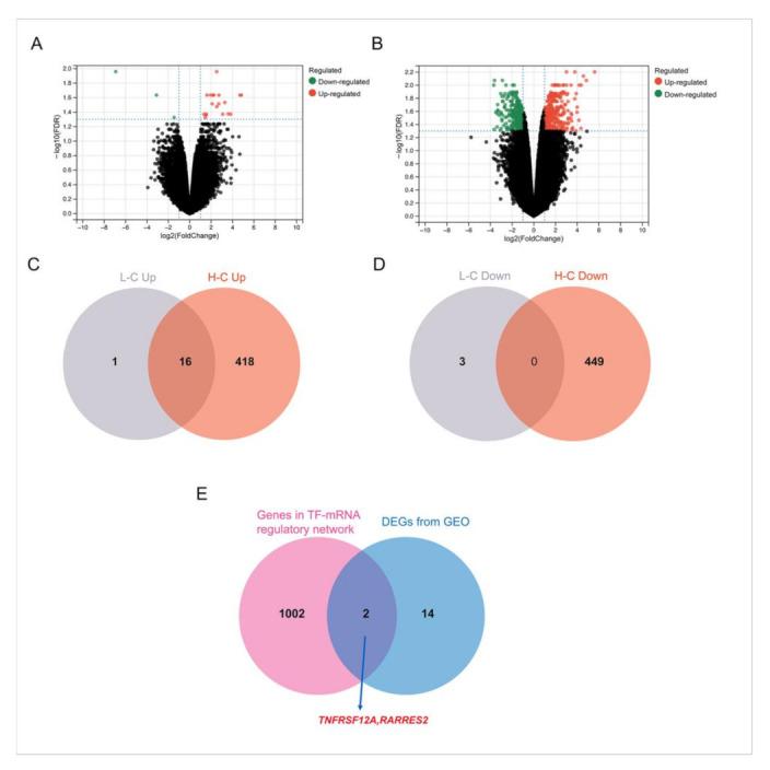 https://cdn.ncbi.nlm.nih.gov/pmc/blobs/d01a/9565894/d7af551d7a7b/nanomaterials-12-03507-g005.jpg