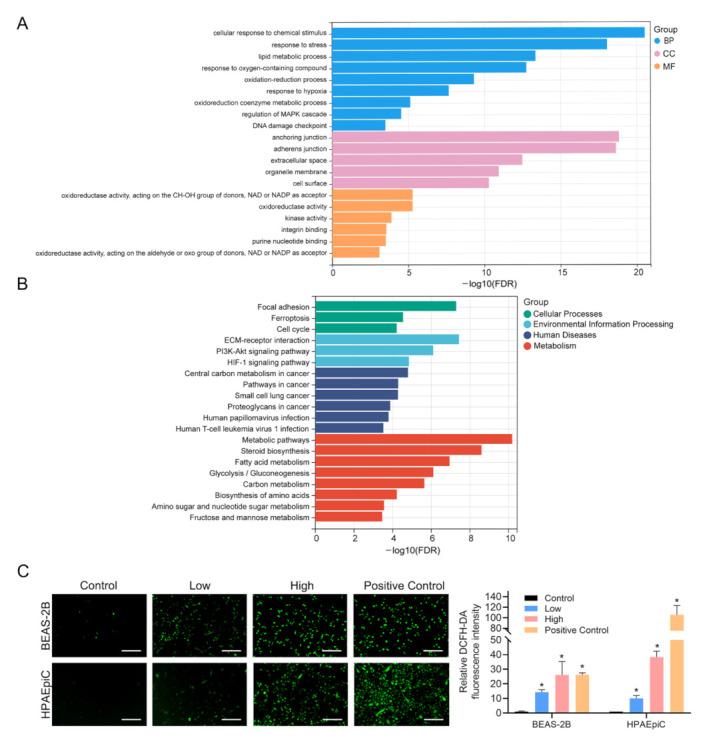 https://cdn.ncbi.nlm.nih.gov/pmc/blobs/d01a/9565894/e5cbf6c77347/nanomaterials-12-03507-g003.jpg