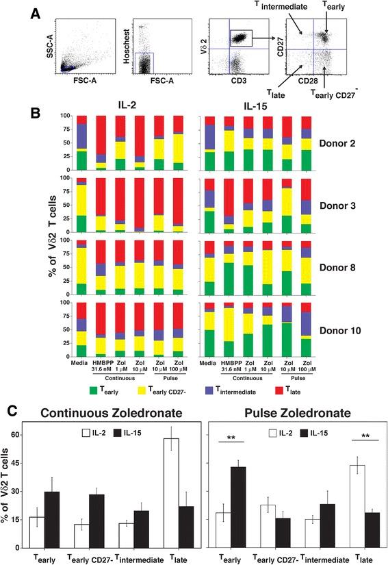https://cdn.ncbi.nlm.nih.gov/pmc/blobs/d03a/5319075/bd3c2353128e/40425_2017_209_Fig6_HTML.jpg