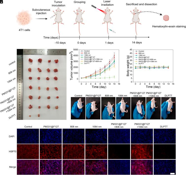 https://cdn.ncbi.nlm.nih.gov/pmc/blobs/d049/12184662/1657ba169bbe/pnas.2503574122fig06.jpg