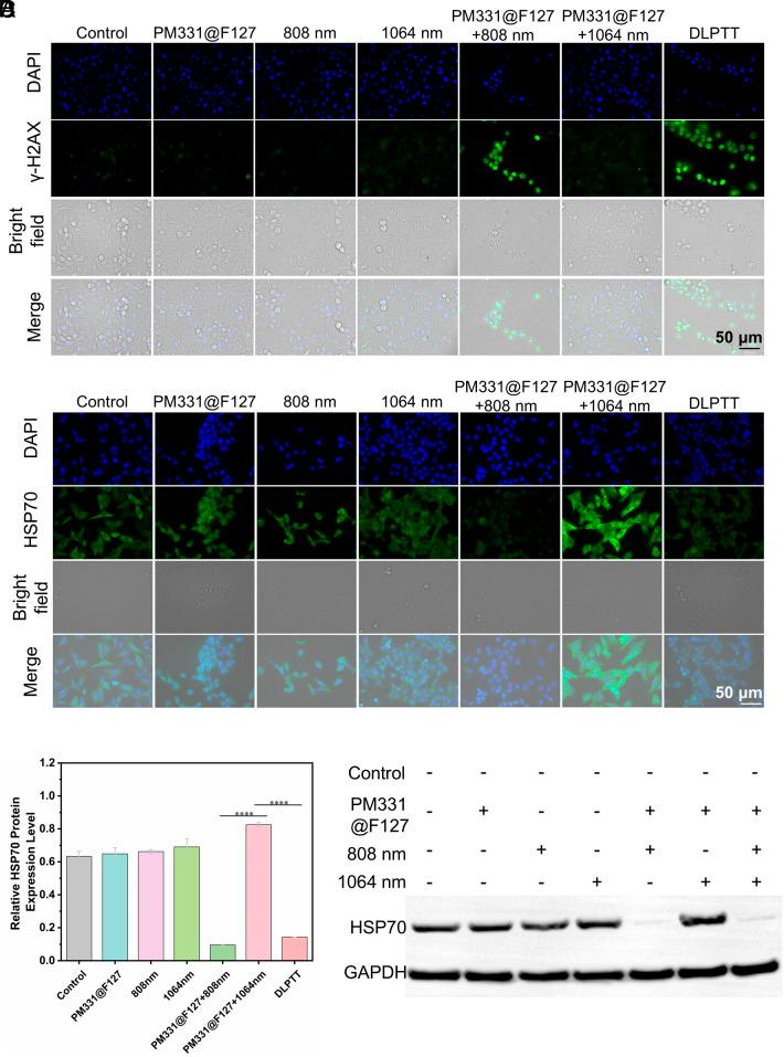 https://cdn.ncbi.nlm.nih.gov/pmc/blobs/d049/12184662/722d5ea265da/pnas.2503574122fig04.jpg