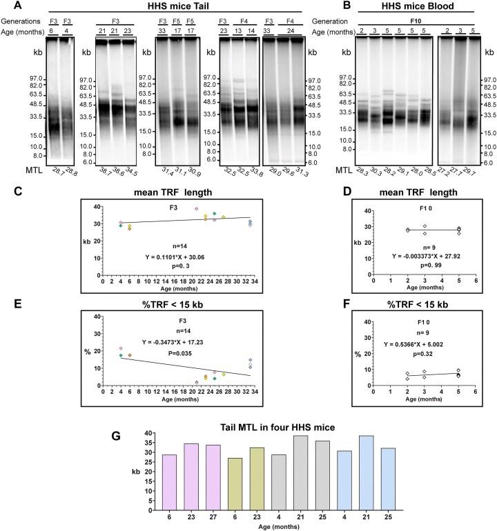https://cdn.ncbi.nlm.nih.gov/pmc/blobs/d057/12390749/a6ee559455f9/gkaf830fig3.jpg