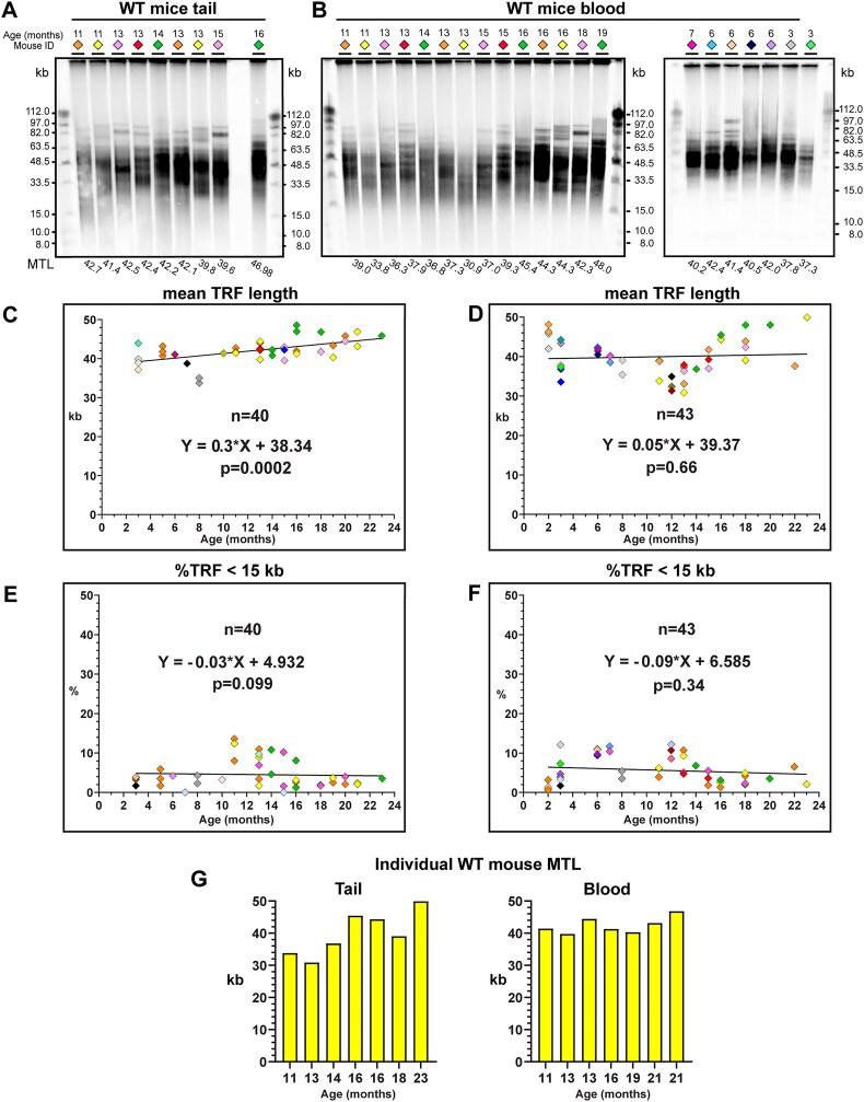 https://cdn.ncbi.nlm.nih.gov/pmc/blobs/d057/12390749/f9f19bf6c195/gkaf830fig1.jpg