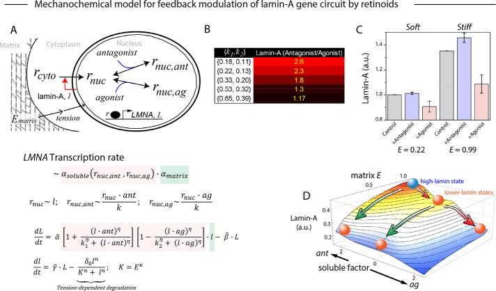 https://cdn.ncbi.nlm.nih.gov/pmc/blobs/d057/5541850/1d623bdf45a1/2010fig6.jpg