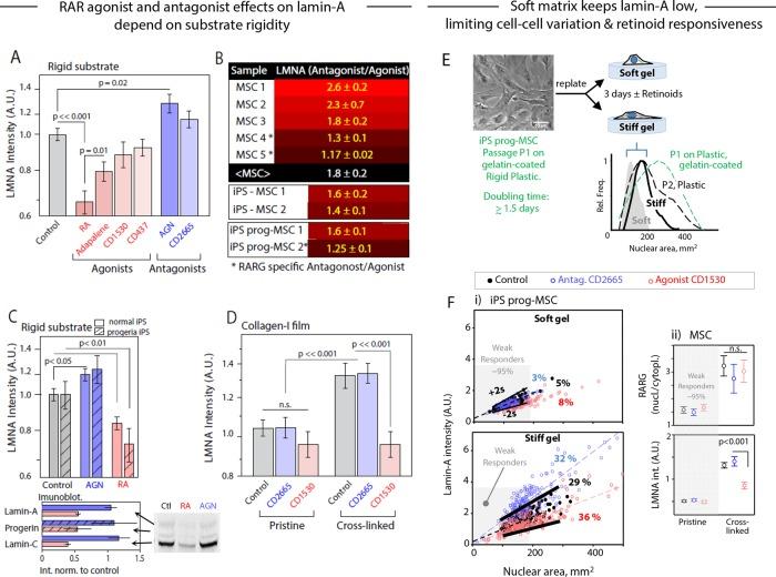 https://cdn.ncbi.nlm.nih.gov/pmc/blobs/d057/5541850/2c61bc0d0447/2010fig5.jpg