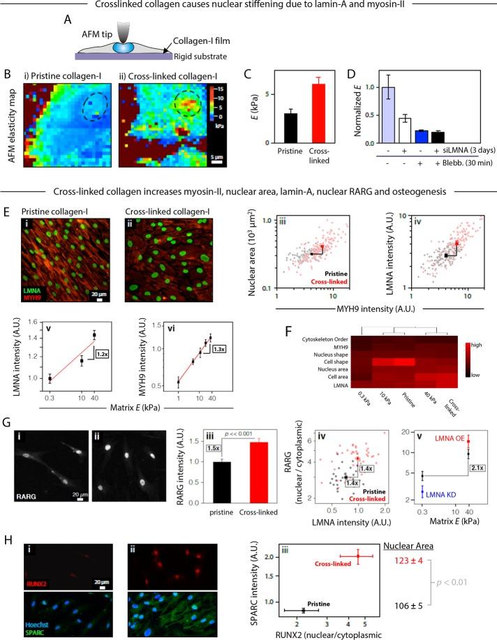 https://cdn.ncbi.nlm.nih.gov/pmc/blobs/d057/5541850/3bcb34a5a3a2/2010fig4.jpg