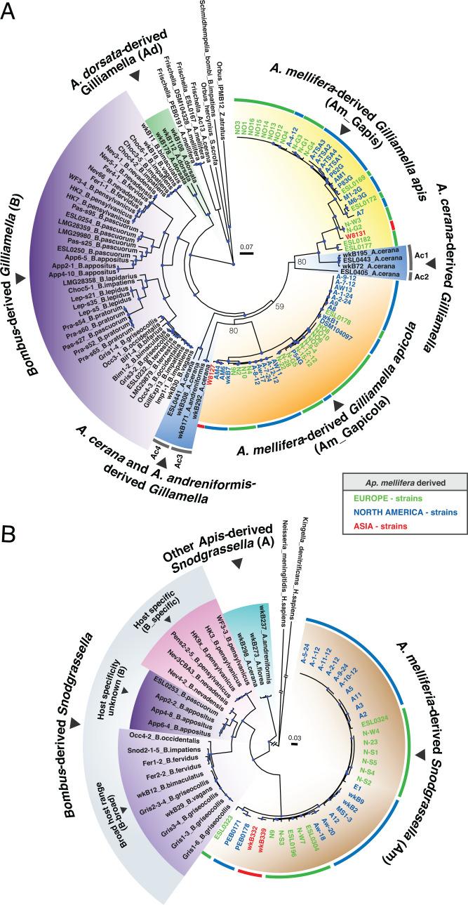 https://cdn.ncbi.nlm.nih.gov/pmc/blobs/d05e/9170019/fca558825f4e/pnas.2115013119fig01.jpg