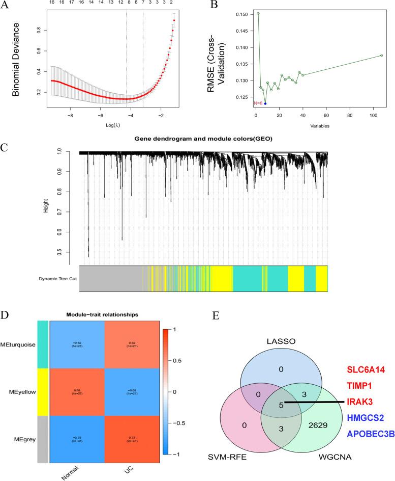 https://cdn.ncbi.nlm.nih.gov/pmc/blobs/d065/9685902/ba953cd9d232/41065_2022_259_Fig5_HTML.jpg