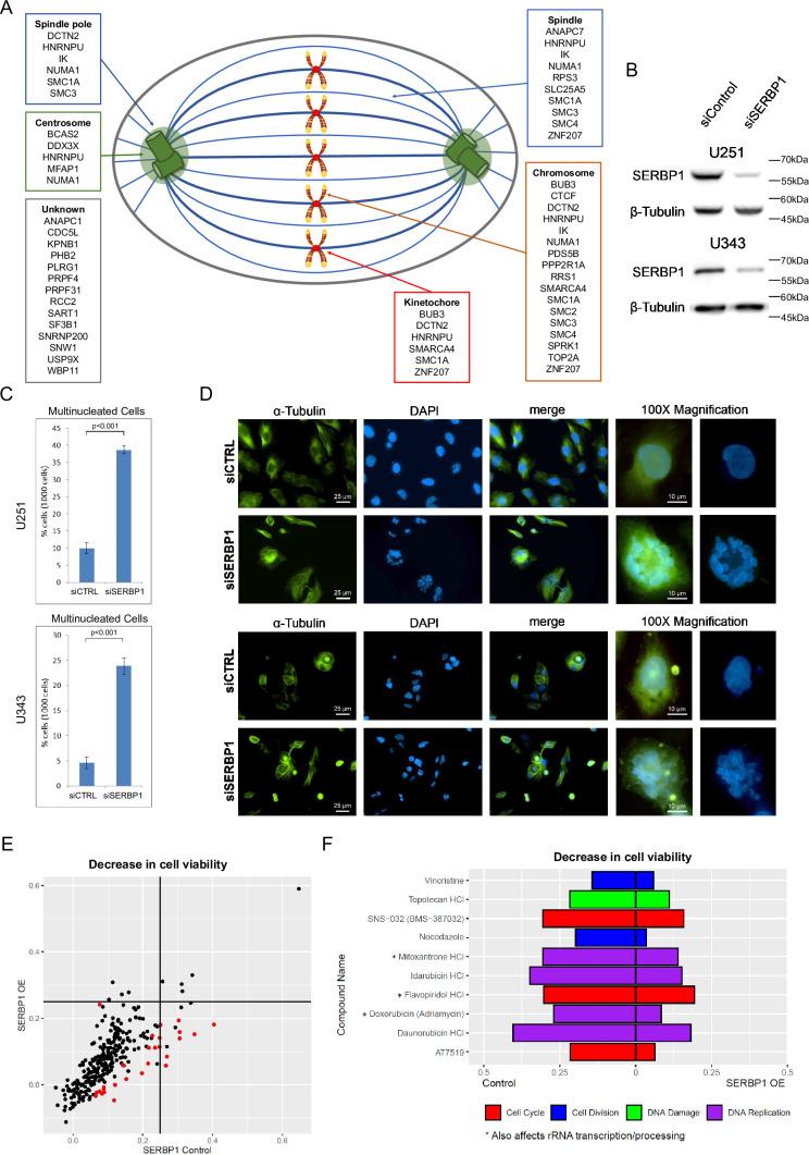 https://cdn.ncbi.nlm.nih.gov/pmc/blobs/d0b5/11820137/28c020084cbd/elife-98152-fig2.jpg