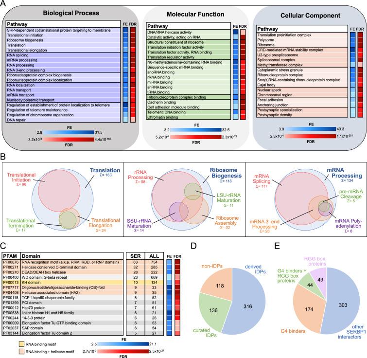 https://cdn.ncbi.nlm.nih.gov/pmc/blobs/d0b5/11820137/2b9ce67095e1/elife-98152-fig1.jpg