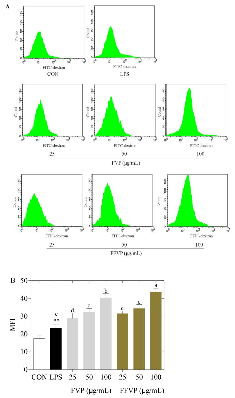 https://cdn.ncbi.nlm.nih.gov/pmc/blobs/d0bc/8537206/67685dc7a5a0/molecules-26-06205-g006.jpg