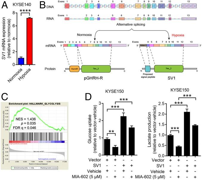 https://cdn.ncbi.nlm.nih.gov/pmc/blobs/d0be/7104313/85026d0d6821/pnas.1913433117fig02.jpg