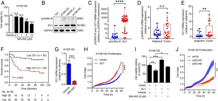 https://cdn.ncbi.nlm.nih.gov/pmc/blobs/d0be/7104313/e02c83b650a7/pnas.1913433117fig01.jpg