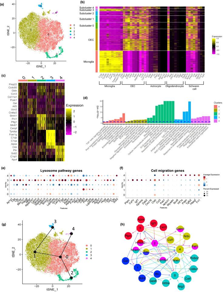 https://cdn.ncbi.nlm.nih.gov/pmc/blobs/d0d0/12040321/3a4ad46cc734/elife-95629-fig4.jpg