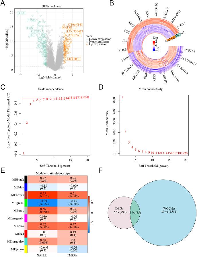https://cdn.ncbi.nlm.nih.gov/pmc/blobs/d0de/12023734/491b1a81c8a7/EC-24-0470fig1.jpg