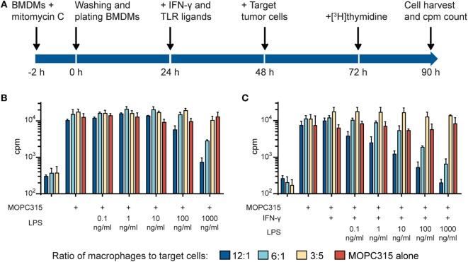 https://cdn.ncbi.nlm.nih.gov/pmc/blobs/d0ef/5662546/42a1ad309ddc/fimmu-08-01383-g001.jpg