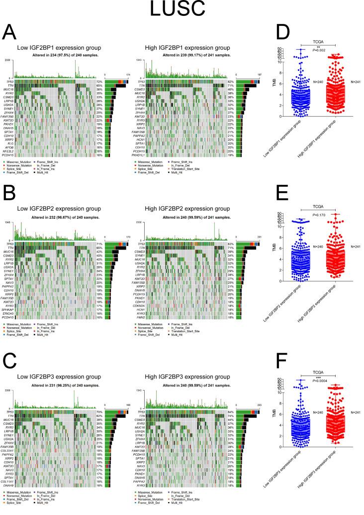https://cdn.ncbi.nlm.nih.gov/pmc/blobs/d0fe/11167947/315aa3895eec/40246_2024_632_Fig4_HTML.jpg