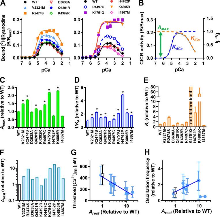 https://cdn.ncbi.nlm.nih.gov/pmc/blobs/d108/9037340/1fdce3aaa802/JGP_202112869_Fig4.jpg