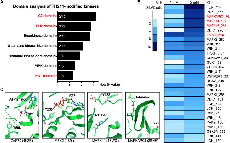 https://cdn.ncbi.nlm.nih.gov/pmc/blobs/d139/8179411/760878167706/d0sc06623k-f6.jpg