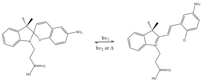 https://cdn.ncbi.nlm.nih.gov/pmc/blobs/d166/6930475/8d4657aa2121/molecules-24-04243-g001.jpg