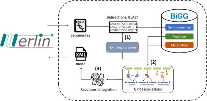 https://cdn.ncbi.nlm.nih.gov/pmc/blobs/d1c4/9521827/2991ae6dbdcb/j_jib-2022-0014_fig_001.jpg