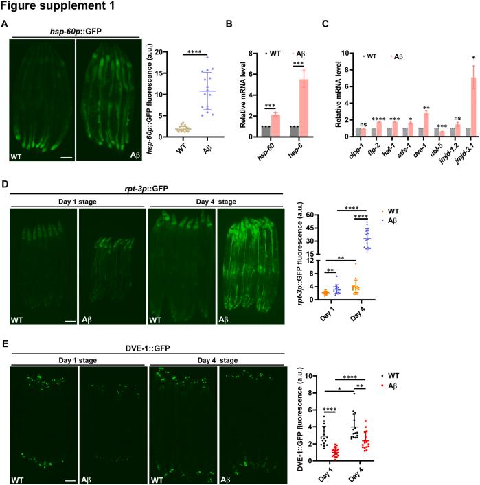 https://cdn.ncbi.nlm.nih.gov/pmc/blobs/d1ca/12179603/815145164509/figs1.jpg