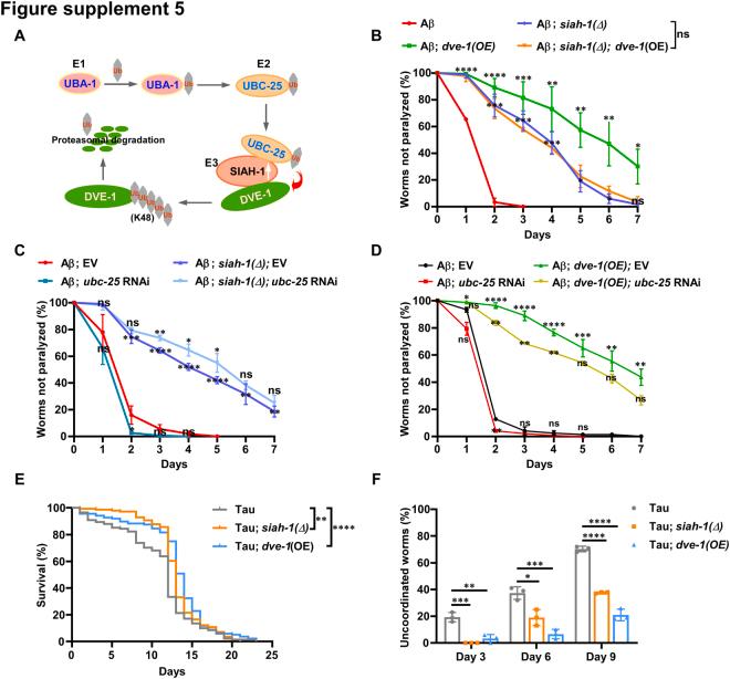 https://cdn.ncbi.nlm.nih.gov/pmc/blobs/d1ca/12179603/f91f275181ee/figs5.jpg