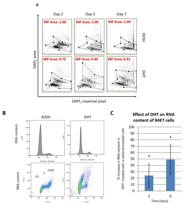 https://cdn.ncbi.nlm.nih.gov/pmc/blobs/d1ce/10137266/c92887c21480/cancers-15-02198-g006a.jpg