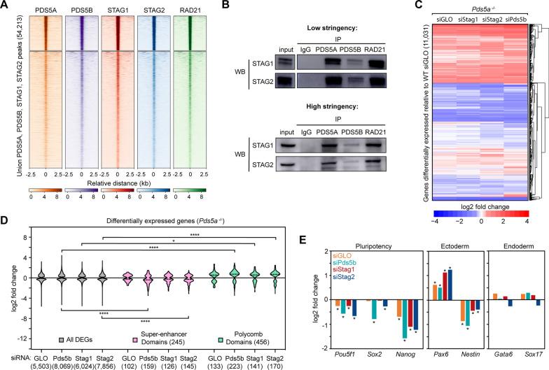 https://cdn.ncbi.nlm.nih.gov/pmc/blobs/d1d6/9392266/c755e6528b72/13072_2022_463_Fig4_HTML.jpg